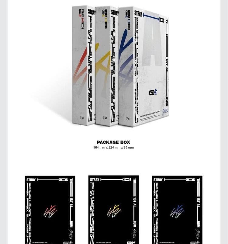 STRAY KIDS - 1. ALBUM GO生 GO LIVE (NORMAL EDITION)