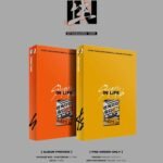 STRAY KIDS - 1ST ALBUM REPACKAGE IN生 (IN LIFE) (STANDARD VER.)