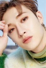 Stray Kids Dicon Dfesta Lomo Cards 9 pcs - Obrázek 2