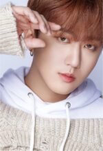 Stray Kids Dicon Dfesta Lomo Cards 9 pcs - Obrázek 4