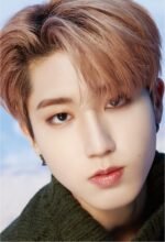 Stray Kids Dicon Dfesta Lomo Cards 9 pcs - Obrázek 6