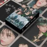 Stray Kids 5-Star (Black) LOMO card